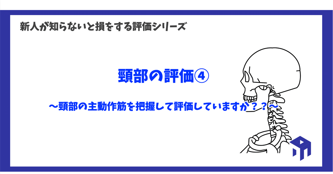 売れ筋ランキングも掲載中！ 頸部の評価④｜加藤淳 趣味+実用