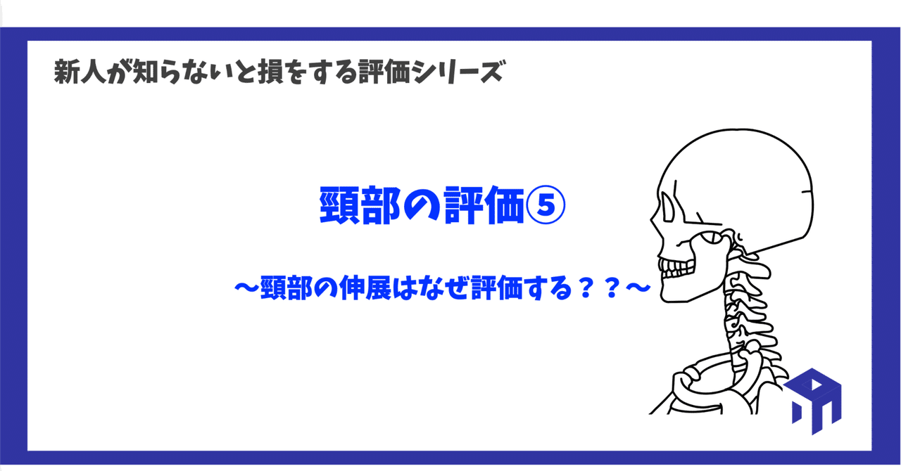 頸部の評価⑤｜加藤淳