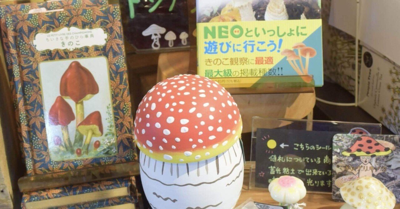 きのこミニフェア🍄｜長谷川敏明 BOOKS HASEGAWA