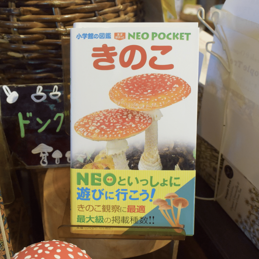 きのこミニフェア🍄｜長谷川敏明 BOOKS HASEGAWA