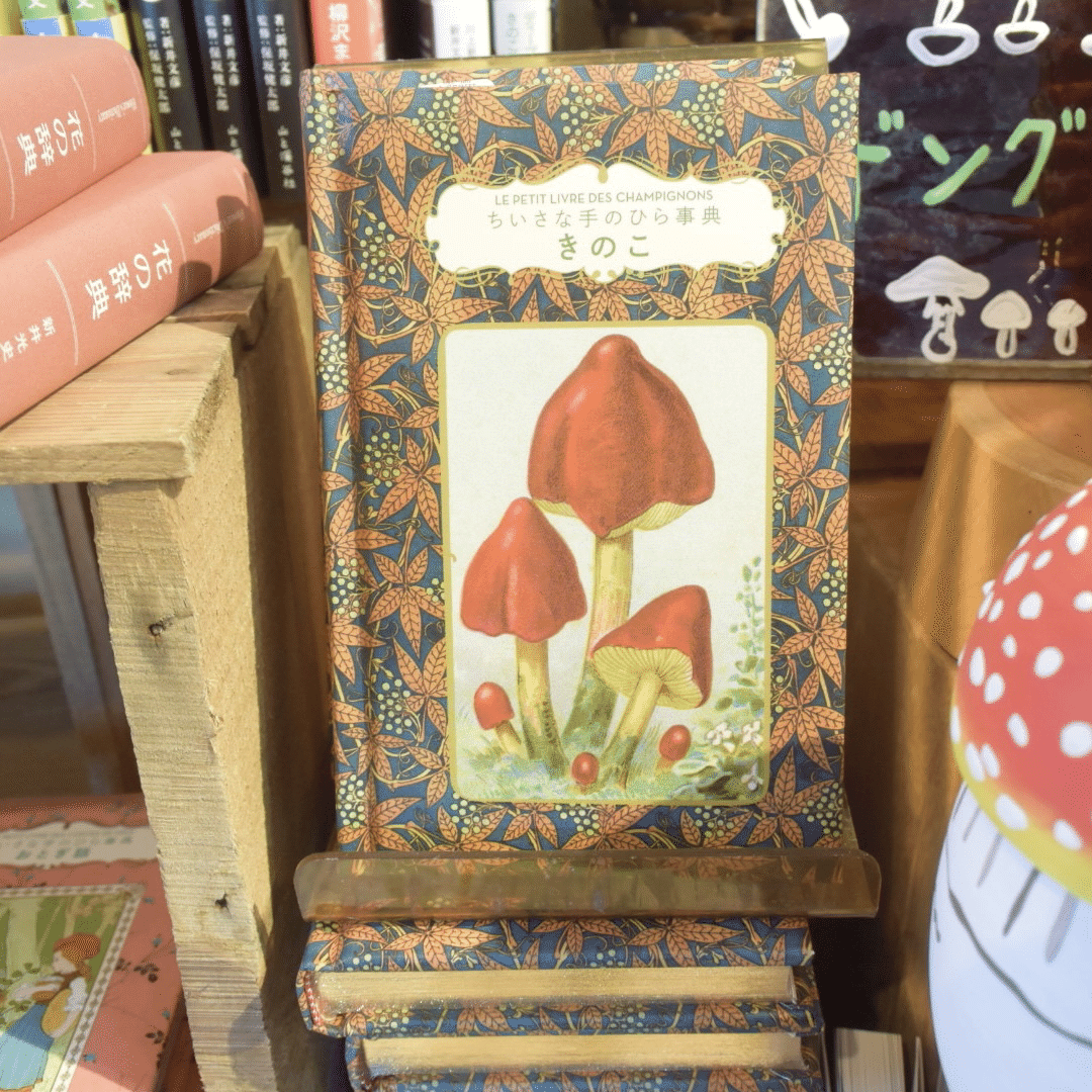 きのこミニフェア🍄｜長谷川敏明 BOOKS HASEGAWA
