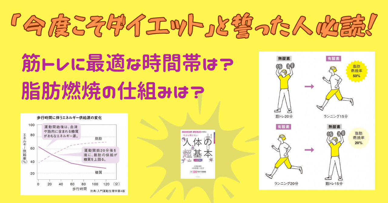 今度こそダイエット」と誓った人必読！筋トレに最適な時間帯は？脂肪