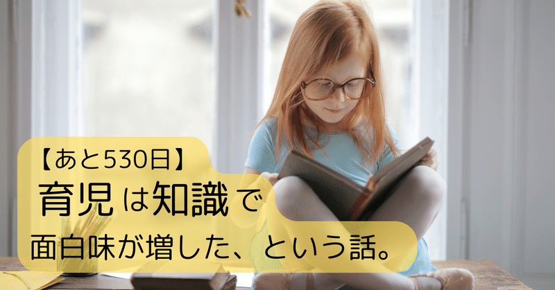 【あと530日】東京都港区でプリスクールを開園するママが育児本を好きになった話。