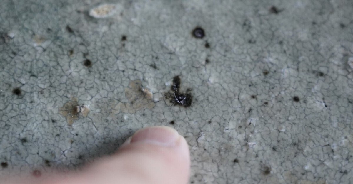 ◇八田亨さんの器について補足を幾つか。｜JIBITAのnote