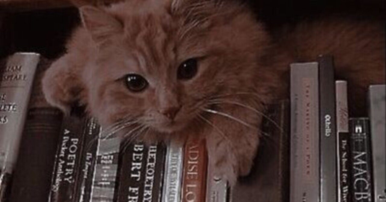 No.006 読んでないのにまた買っちゃう、積読を消費したい。｜みとの部屋