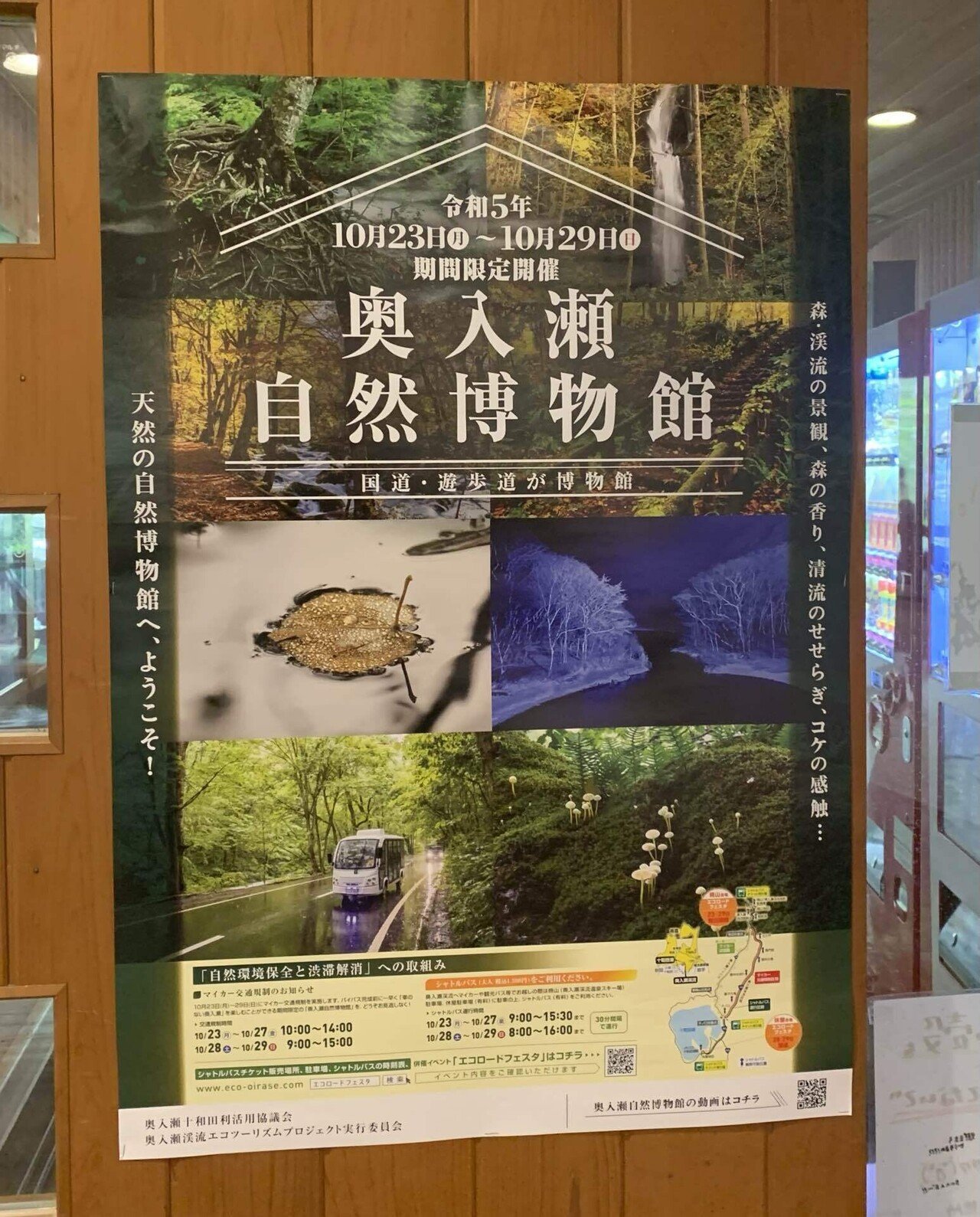 奥入瀬A１ 奥入瀬渓流をサイクリングで巡ろう！石ケ戸駐車場に停めて