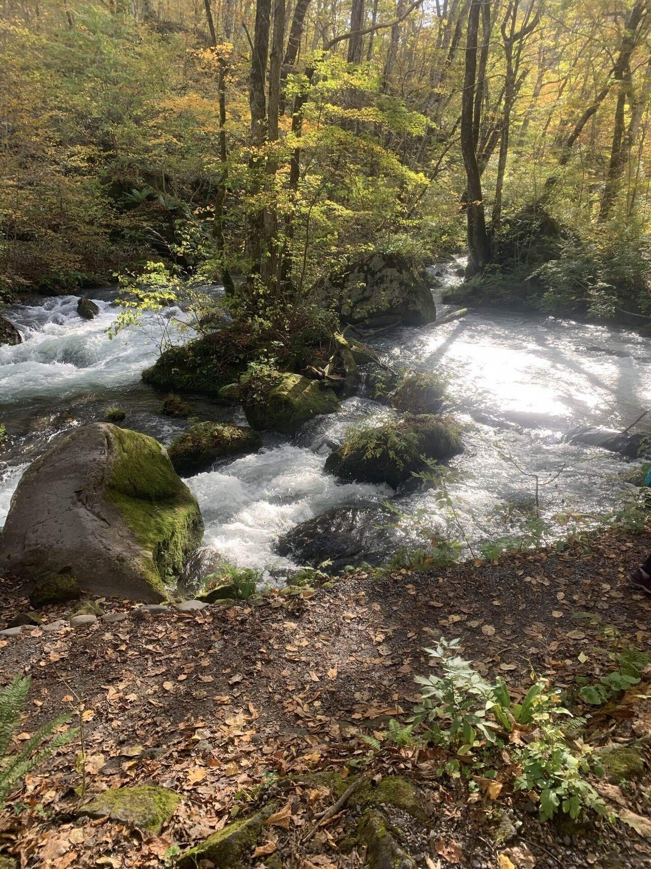 奥入瀬A１ OIRASE BEER（奥入瀬ビール）