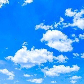 TKMT / 信仰のない統一教会2世