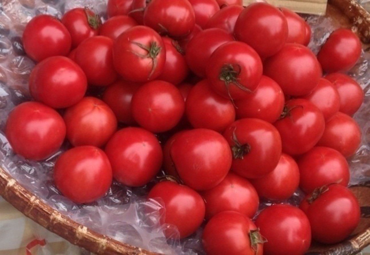 第４２回 トマトの育て方 収穫時期 Tomohito Note