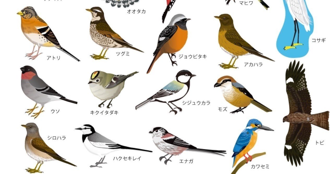 第253回 洒落た学名の野鳥 翆野 大地 Note