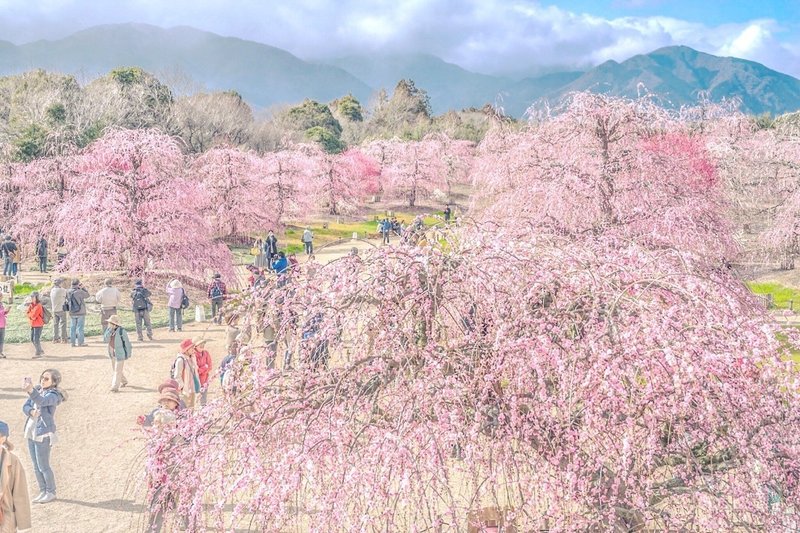 鈴鹿の森庭園 Shun Note 鈴鹿の森庭園 Shun Note