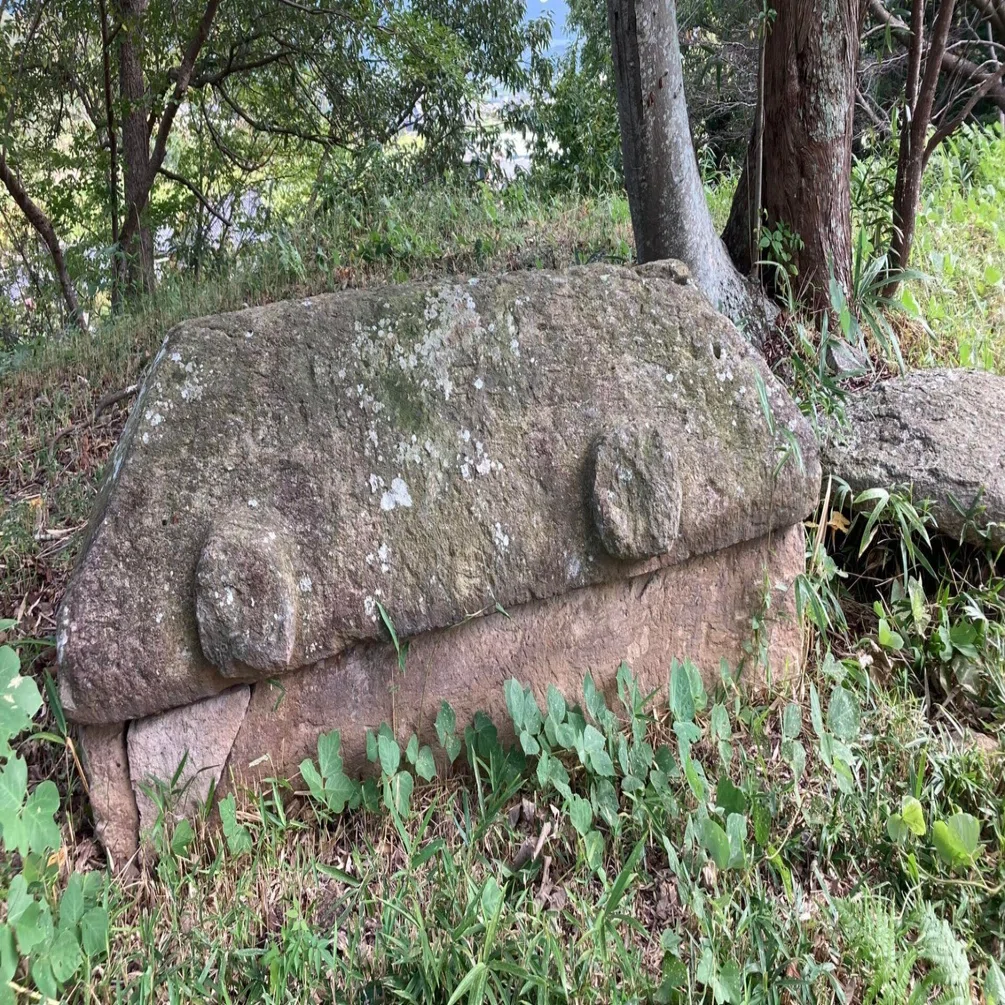 歴史探訪】鹿歩山古墳の主は世渡り上手！～あちら（築山古墳）の石棺は