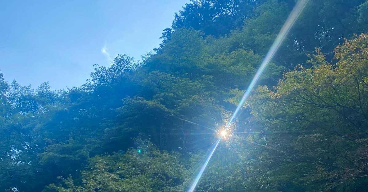 スピリチュアルフォト　鏡池の神秘 学び直し】京都の神社でなんともスピリチュアルな写真が撮れたよ