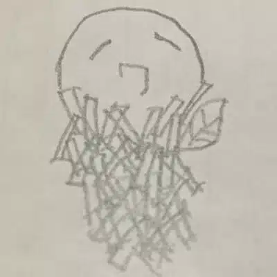 一簔ツヨビ🏴‍☠️