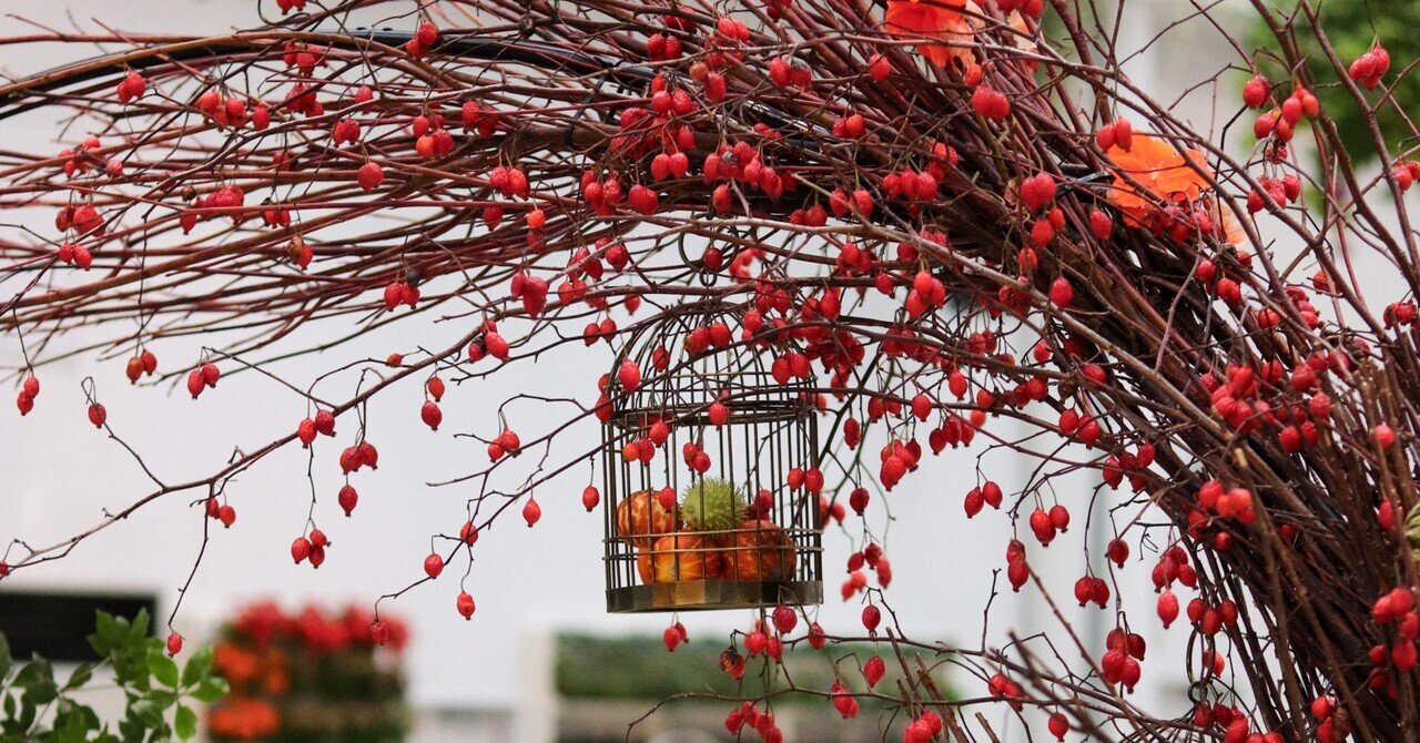 秋におすすめの実物🍂｜D.STYLE