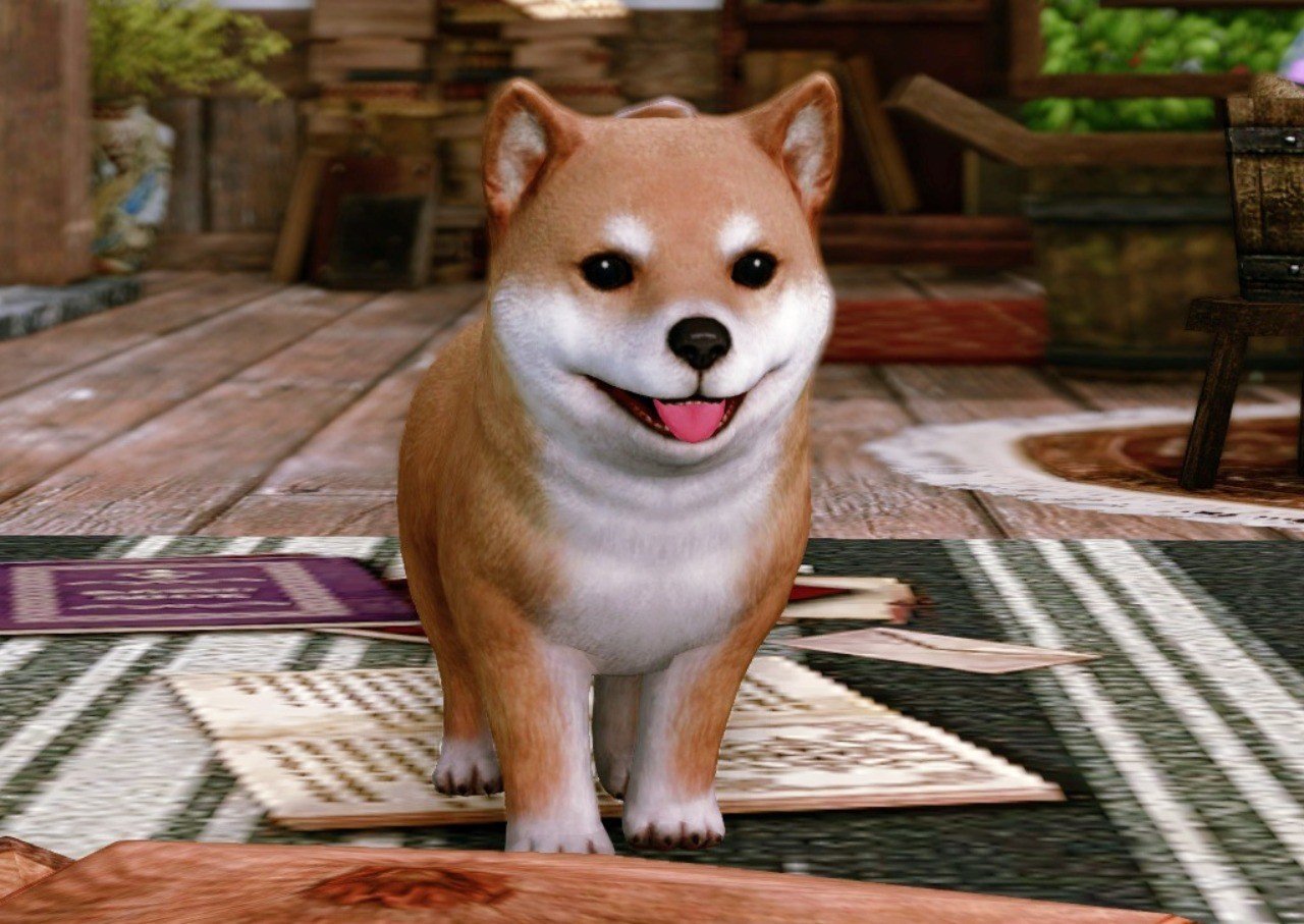 Archeage日記 柴犬 きり胡麻 Note Archeage日記 柴犬 きり胡麻 Note