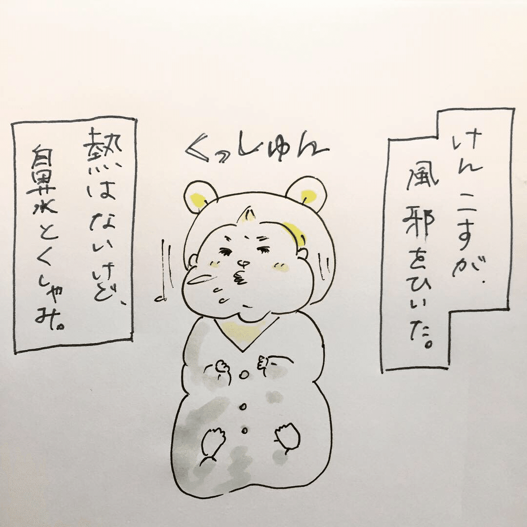 けんこす日記12 リアル鼻ちょうちん けんこす母 Note