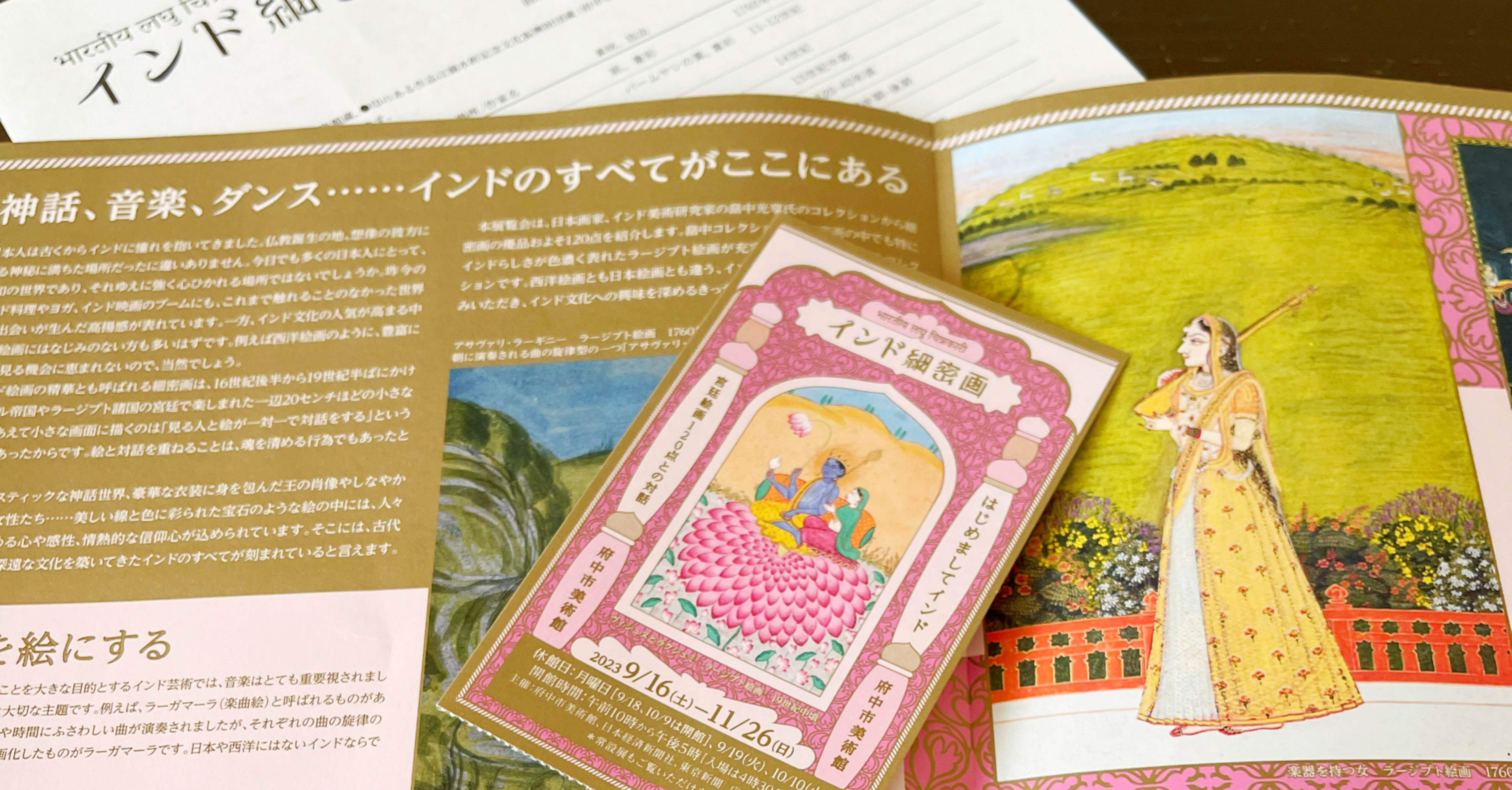 インド細密画を脳内リアル展開するためのインド映画｜Yasuko Suzuki