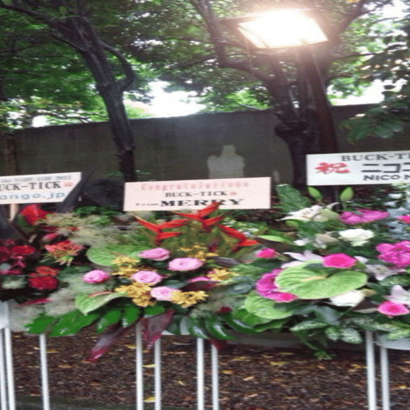 BUCK-TICK 野外ライブ at the NIGHT SIDE 2012｜ダイ