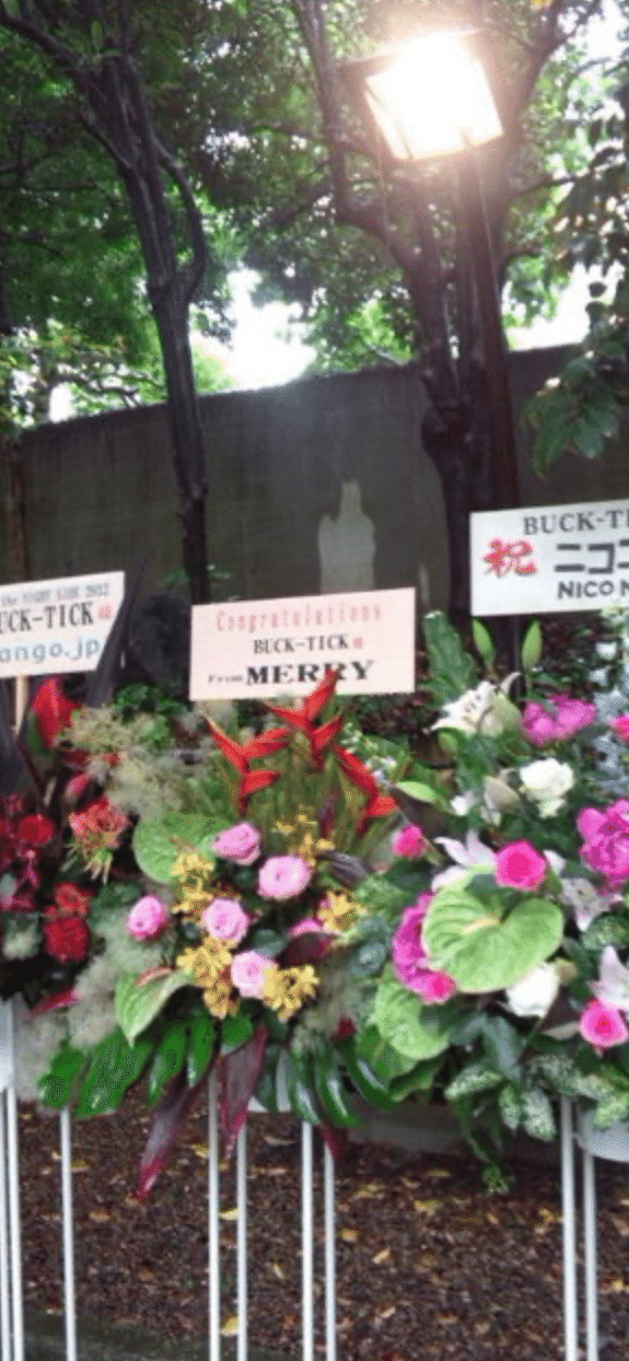 BUCK-TICK 野外ライブ at the NIGHT SIDE 2012｜ダイ