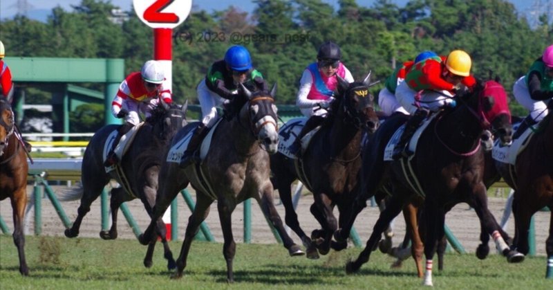 一口馬主生活「初めての新潟競馬場＆初めてのレジェンドシップ現地応援、その3：初レジェンドシップ対面から失意のタレカツ丼」 