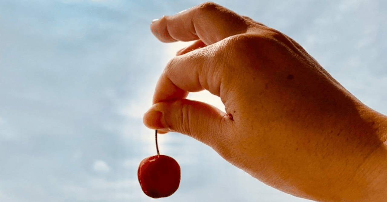 保育士も使う！子どもを叱るテクニック！ その場面、うまい教師はこう叱る!