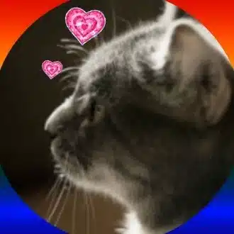 あき。 akiiii。
