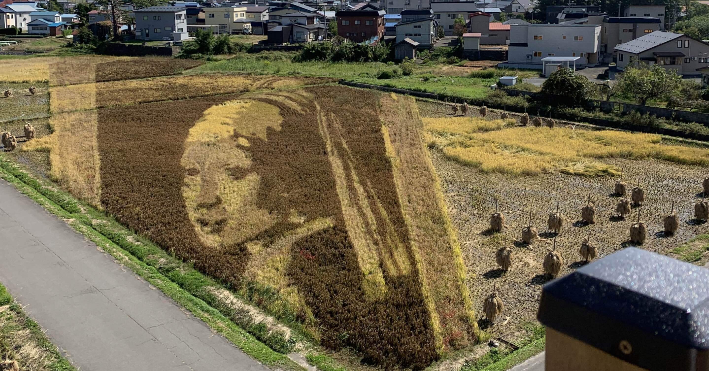 青森県田舎館村】元祖田んぼアートと東北の弥生文化の意外な関係｜狩野ミチ