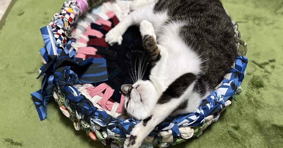 鍋敷き以上猫ちぐら未満｜astrodedepopo 