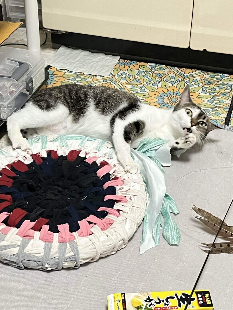 4】Tシャツヤーン/猫ちぐら/猫ベット 鍋敷き以上猫ちぐら未満 