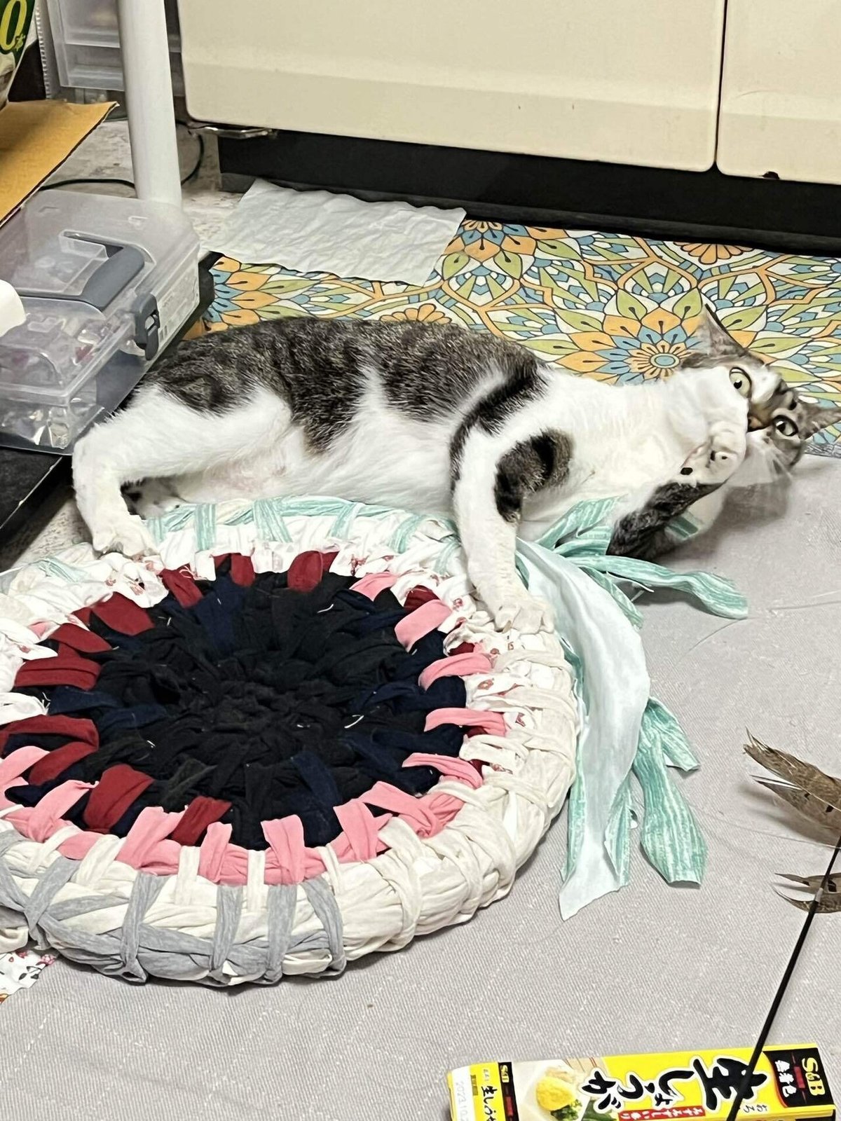 鍋敷き以上猫ちぐら未満｜astrodedepopo 