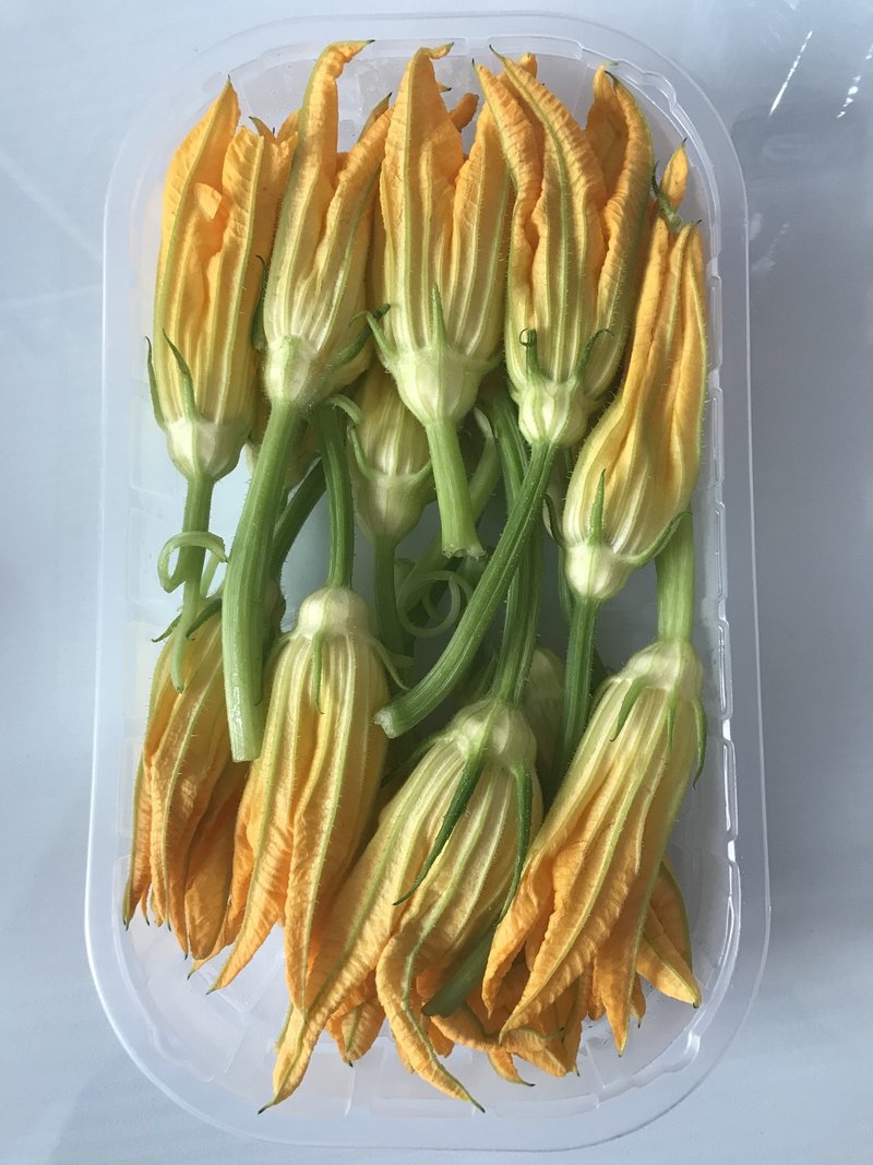 ズッキーニの花に想いを馳せてみる Mon Chikamatsu Note ズッキーニの花に想いを馳せてみる Mon Chikamatsu Note