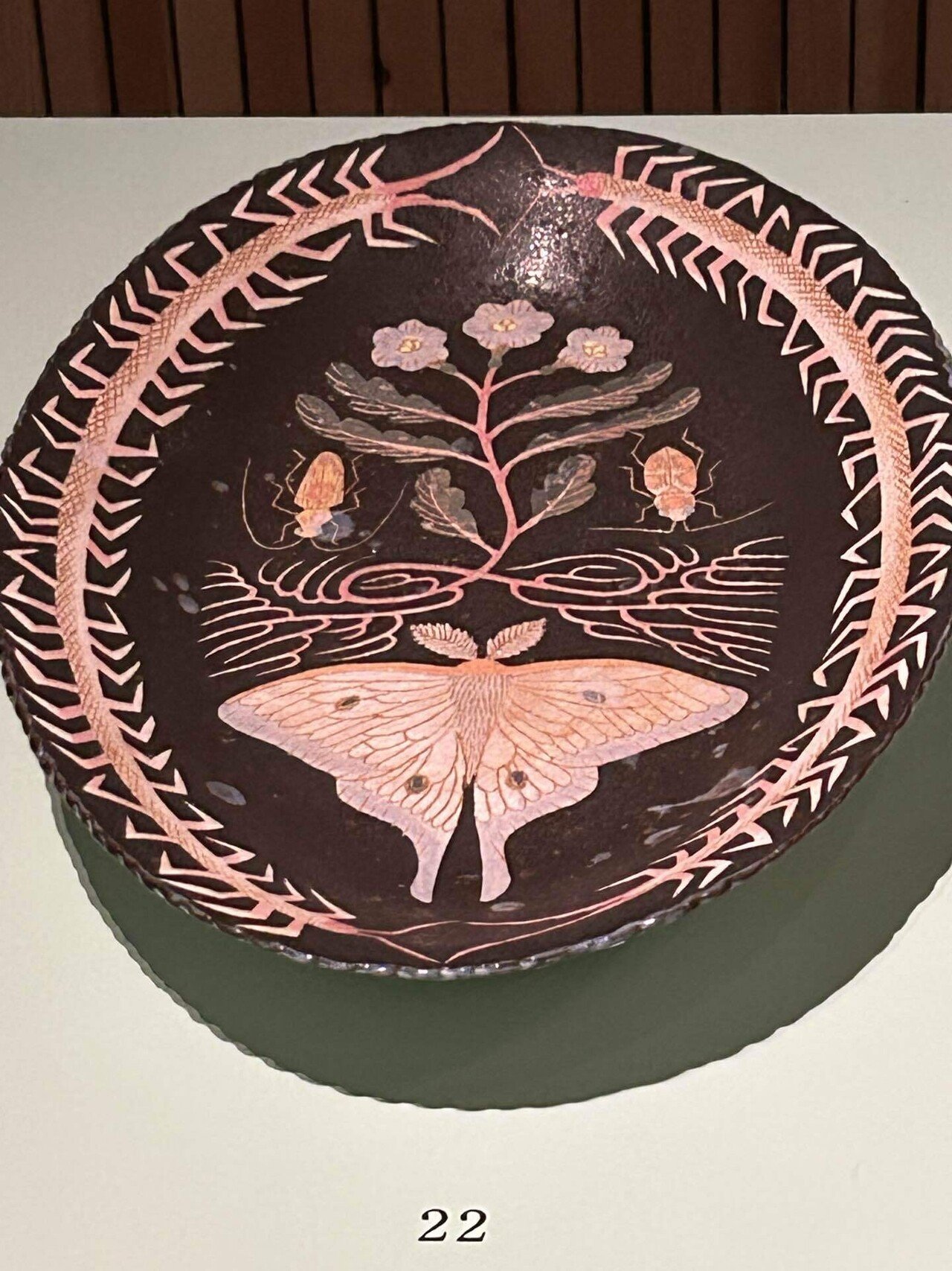 展覧会場だけどショップにいるような感覚に - 鹿児島睦まいにち展