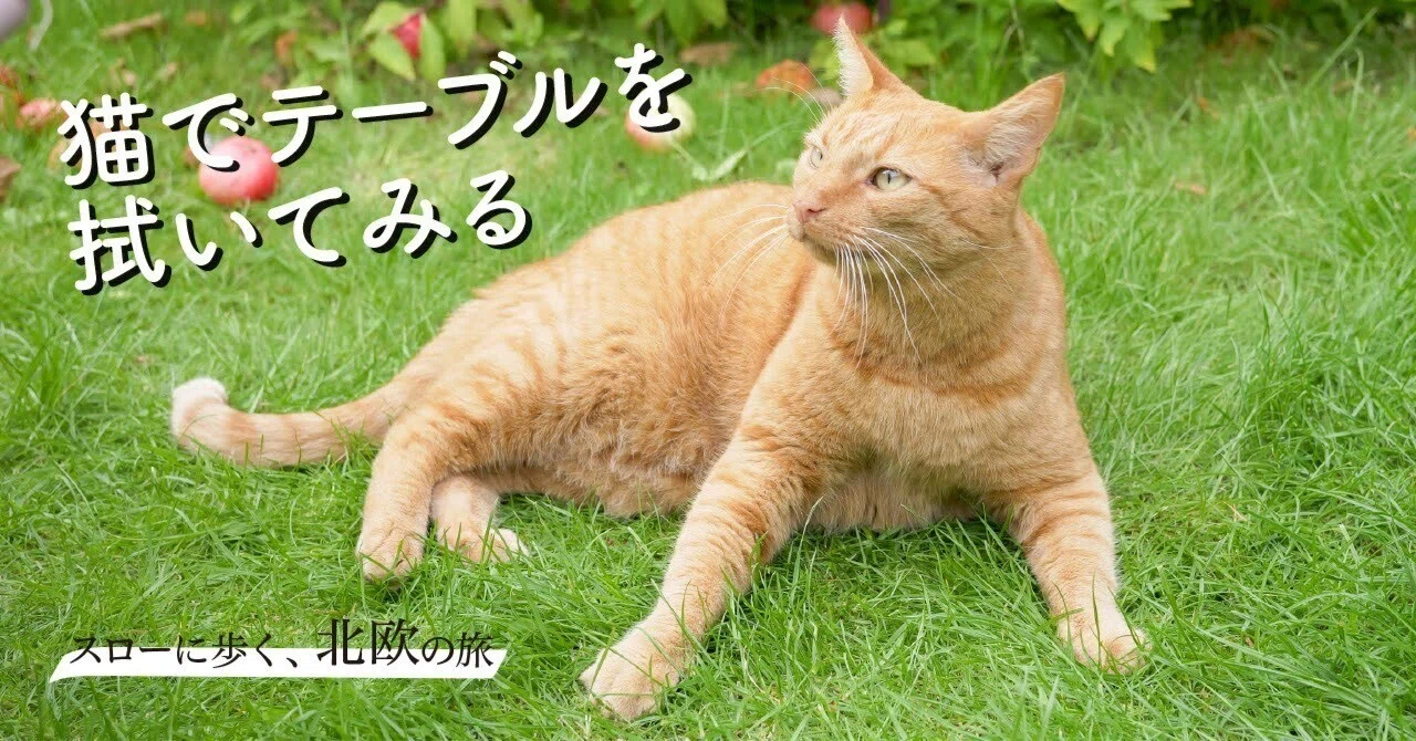 スローに歩く、北欧の旅＃37】デンマークの森でトロール・ハントしてき