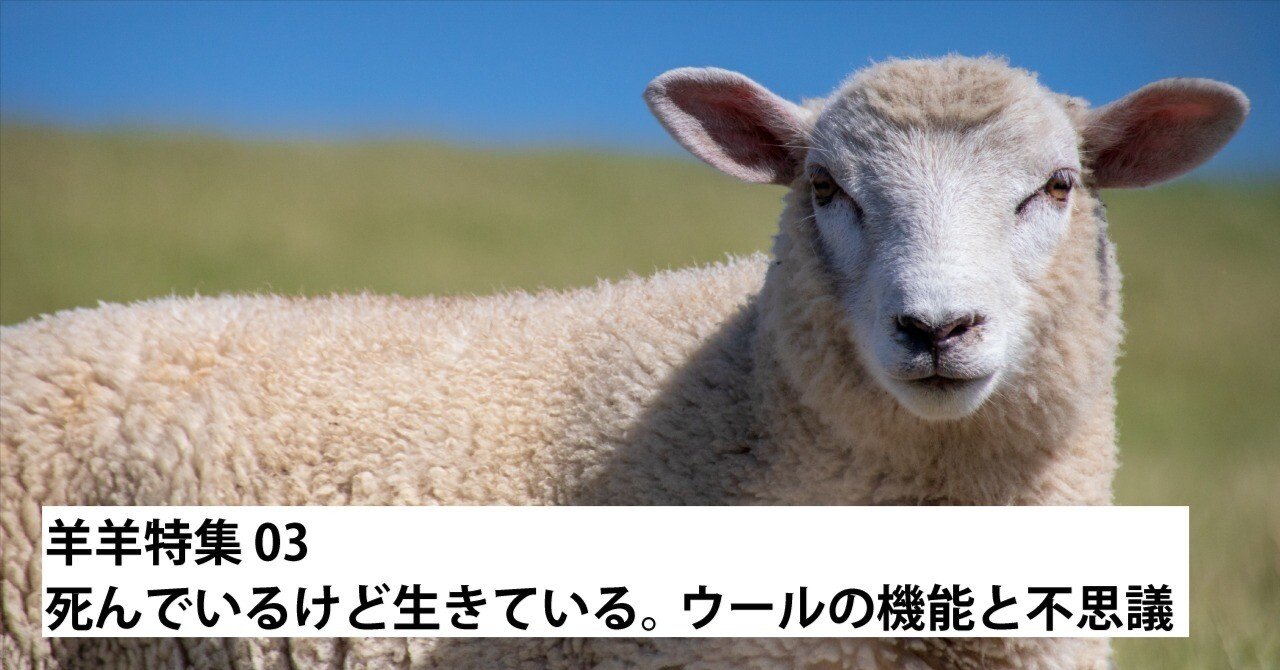 トップゲーム 毛皮の短いキツネの毛襟に羊の毛のコート | artfive.co.jp