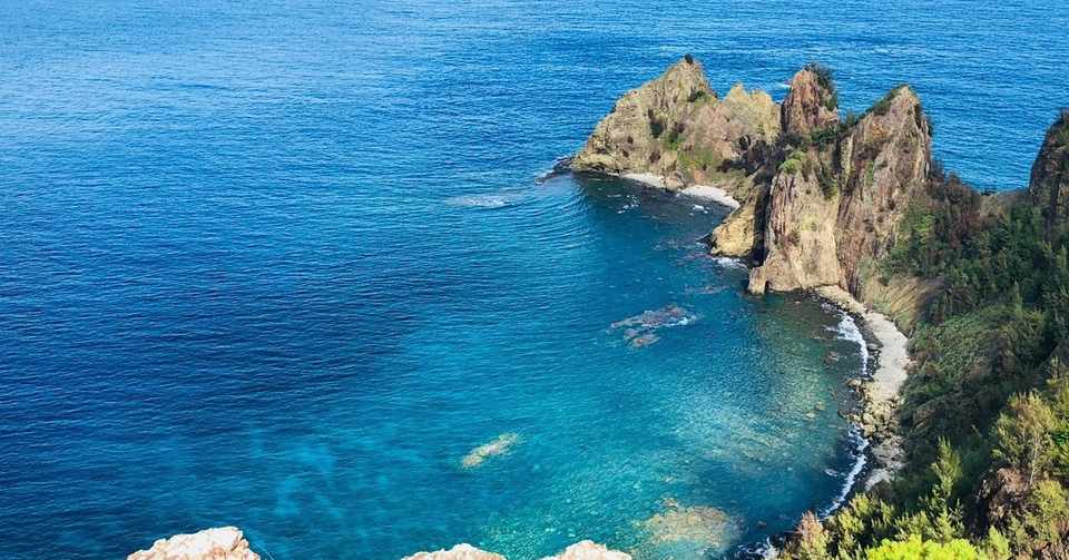 東洋のガラパゴス小笠原諸島 父島のコト Hayashi Yu Note
