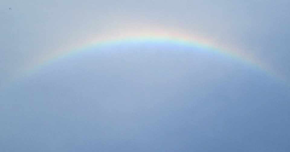 同じ船に乗って 同じ虹のもとへ 李琴峰 Note