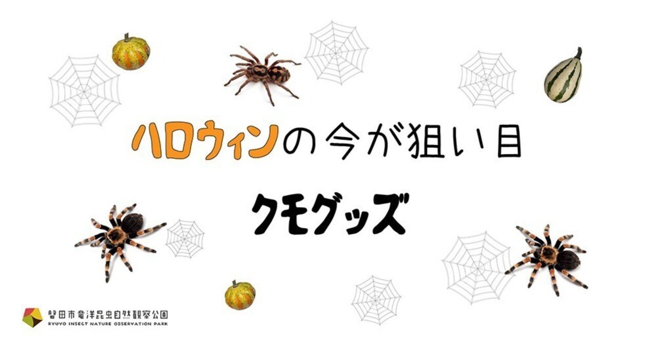 クモ好きが集めるクモグッズのご紹介｜竜洋昆虫自然観察公園