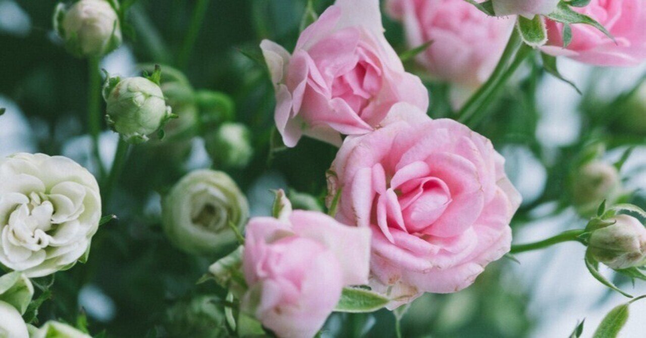 世界最小のバラ「リトルウッズ」｜FLOWER