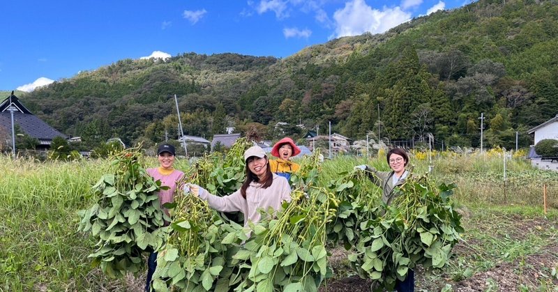 丹波篠山の黒枝豆の収穫に行ってきた！みんなで集まって喜びを分け合おう～　　お手伝いボランティア@全農