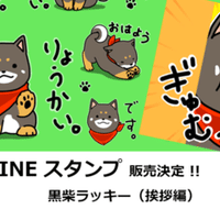 ディズニー 歌ってみたまとめ 稲井ハルカ 歌うイラストレーター Note