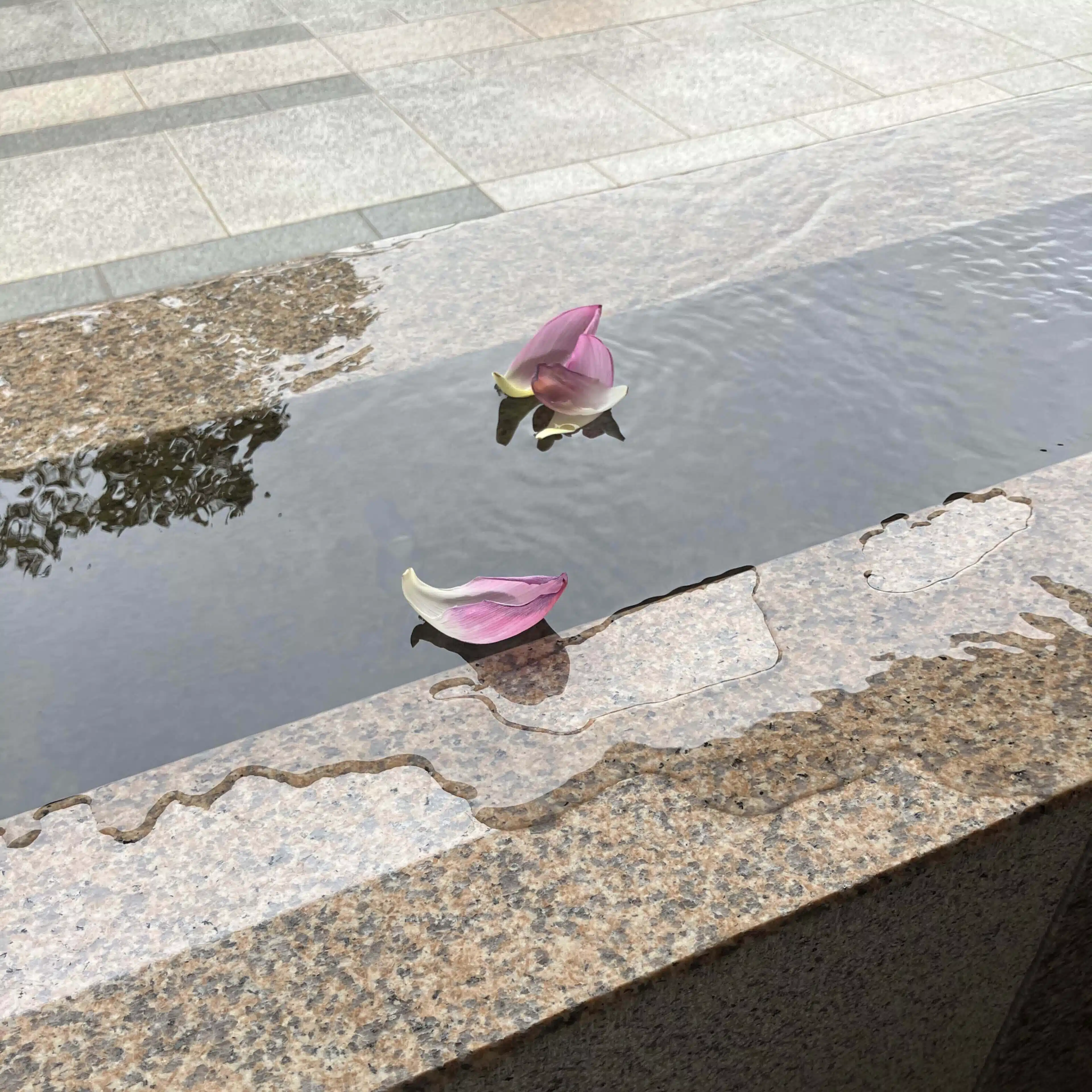 当麻 あい