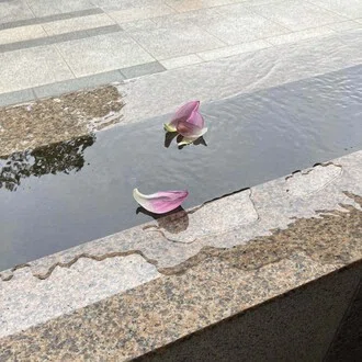 当麻 あい