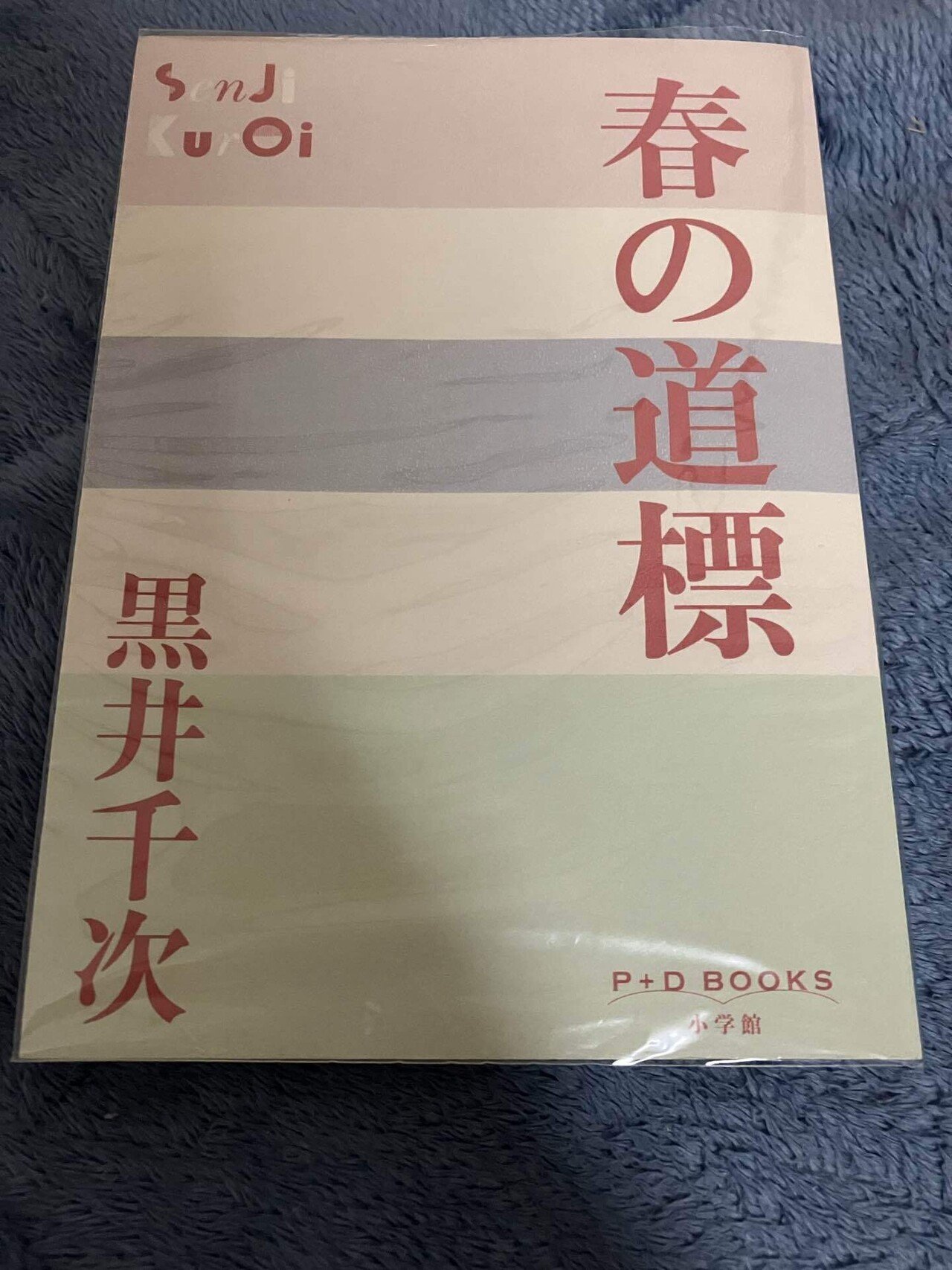 現代文の征服 ザ・ノース・フェイスの都市型ラインを「meanswhile」の藤崎尚大