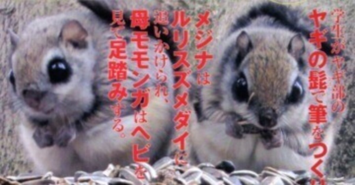注目ブランドのギフト 鳥取環境大学の森の人間動物行動学「先生！」シリーズ（毎日読書 健康・医学