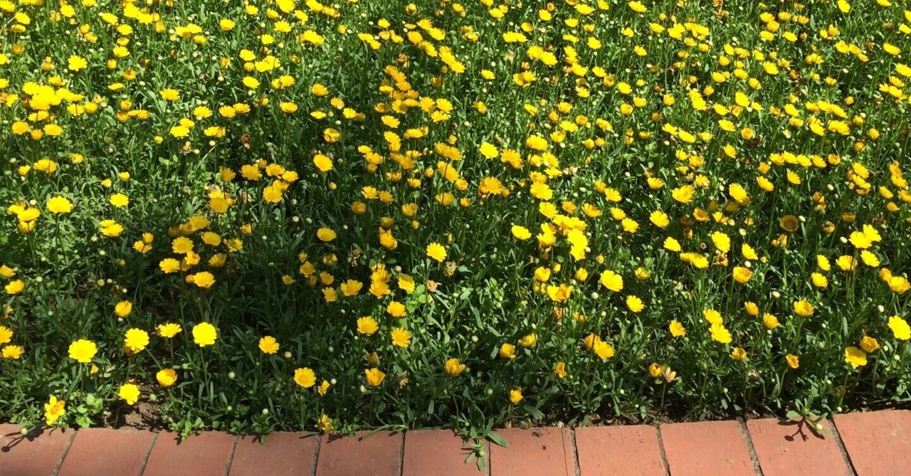 借金取りだったいとこの話 その2｜綿野恵太