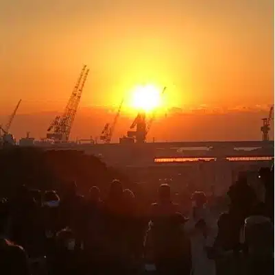 こたろ