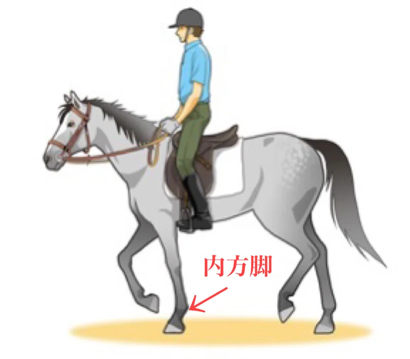 手前合わせのコツ|はるか🐴おうち乗馬教室