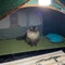 テウの備忘録