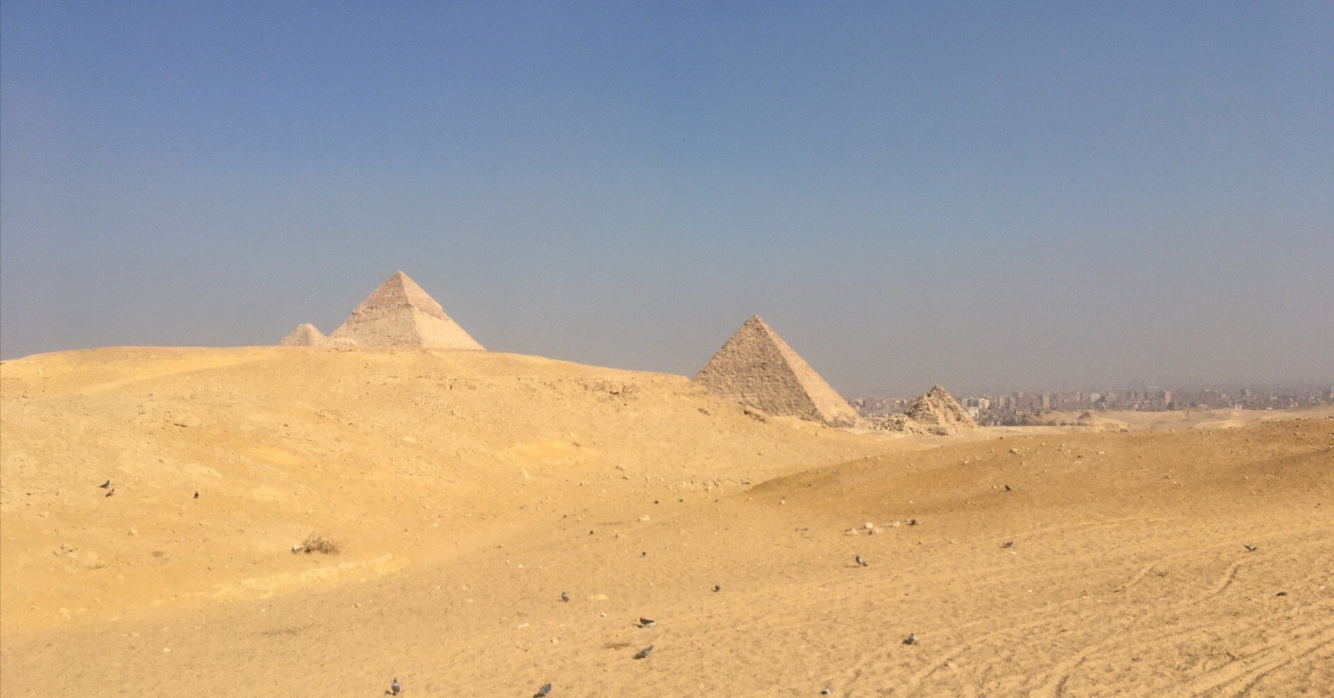 エジプト旅行記③】カイロ・ギザ観光｜鬱と共に生きる旅人＠自力で留学